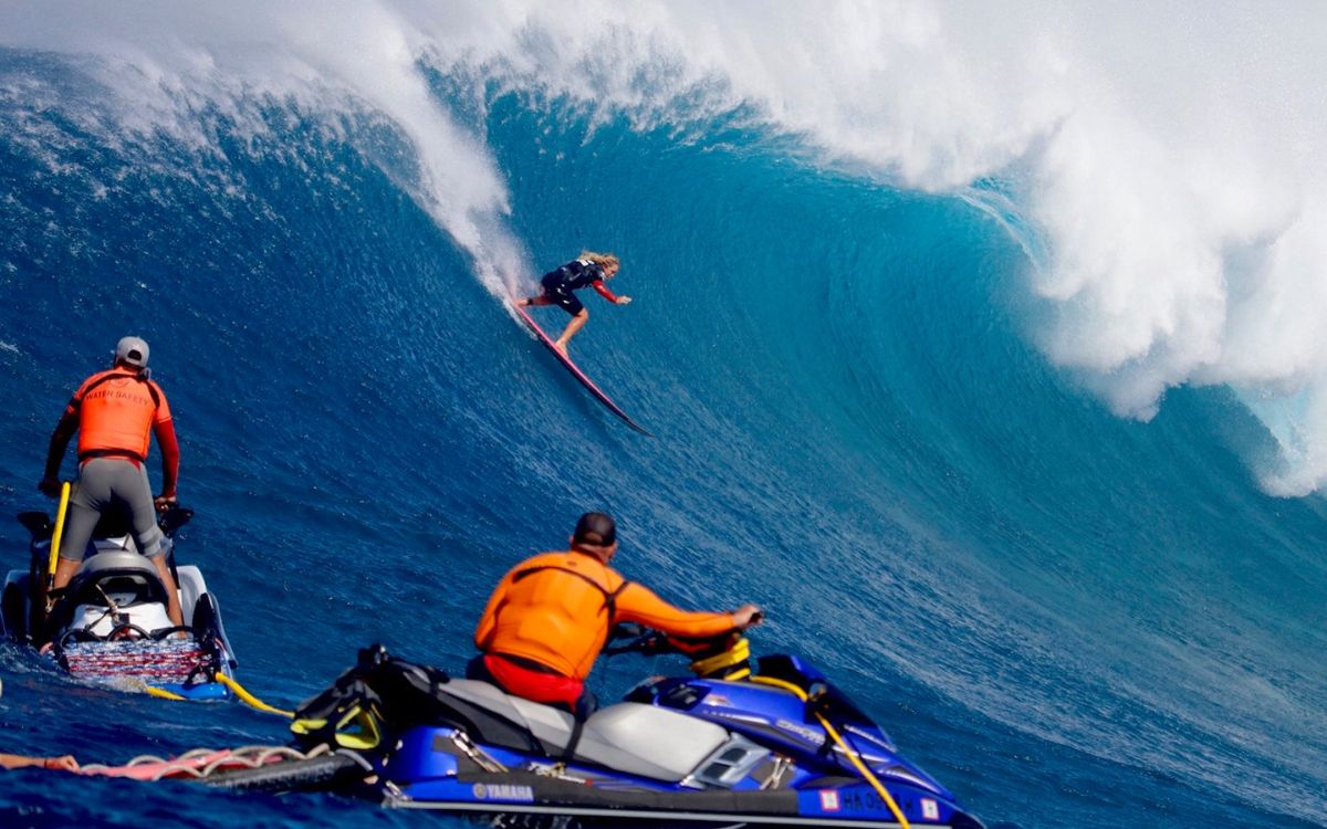 Link to Felicity Palmateer rides a wave for dementia research as Wipeout Dementia marks 10 years article