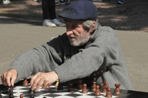 Link to Chess and crossword puzzles keep dementia risk in check article