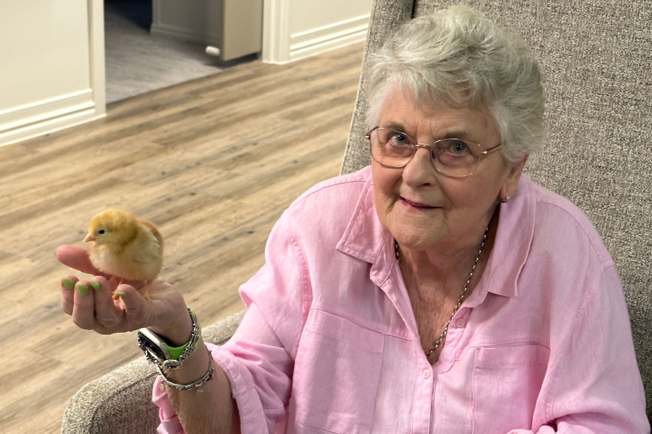 Link to Pick up chicks at TriCare’s Upper Mount Gravatt home article