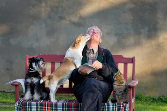 <p>Seniors may find peace and joy in the company of their beloved pets. [Source: Shutterstock]</p>
