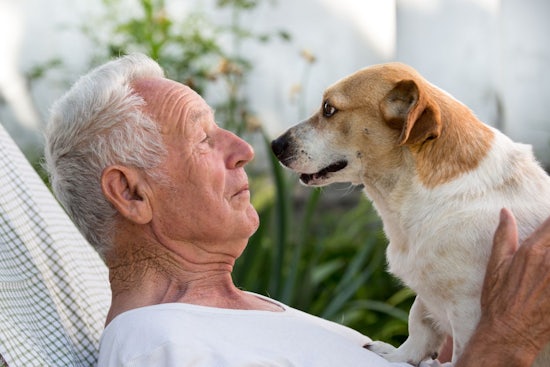 <p>We hate to wish our pets farewell, but it helps to have a plan in place when it is our time to go. [Source: Shutterstock]</p>

