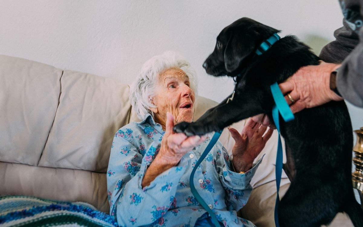 Link to Why more aged care homes need to welcome pets – and how to find one that does article