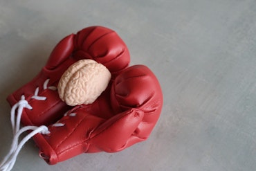 Brain cupped in boxing gloves.