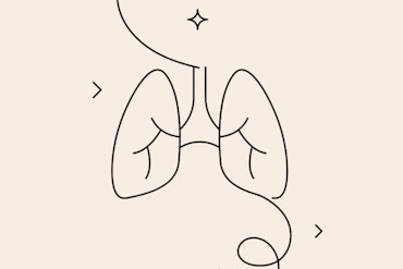 Image of the respiratory system in a minimalist design