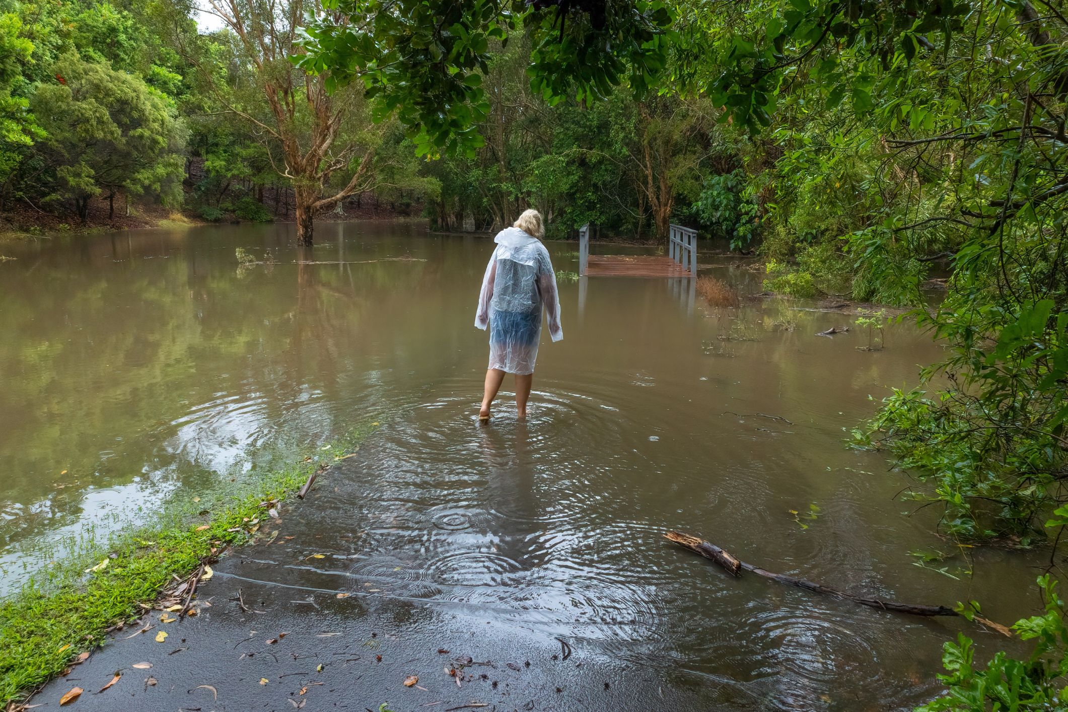 Link to QLD and NSW aged care homes prepare as a severe weather warning is issued article