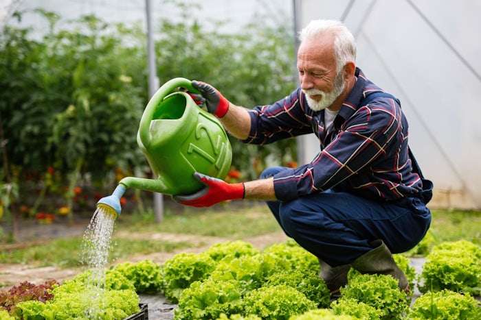 Need a hand with a green thumb? This Aged Care Guide is for you. (Source: Shutterstock)
