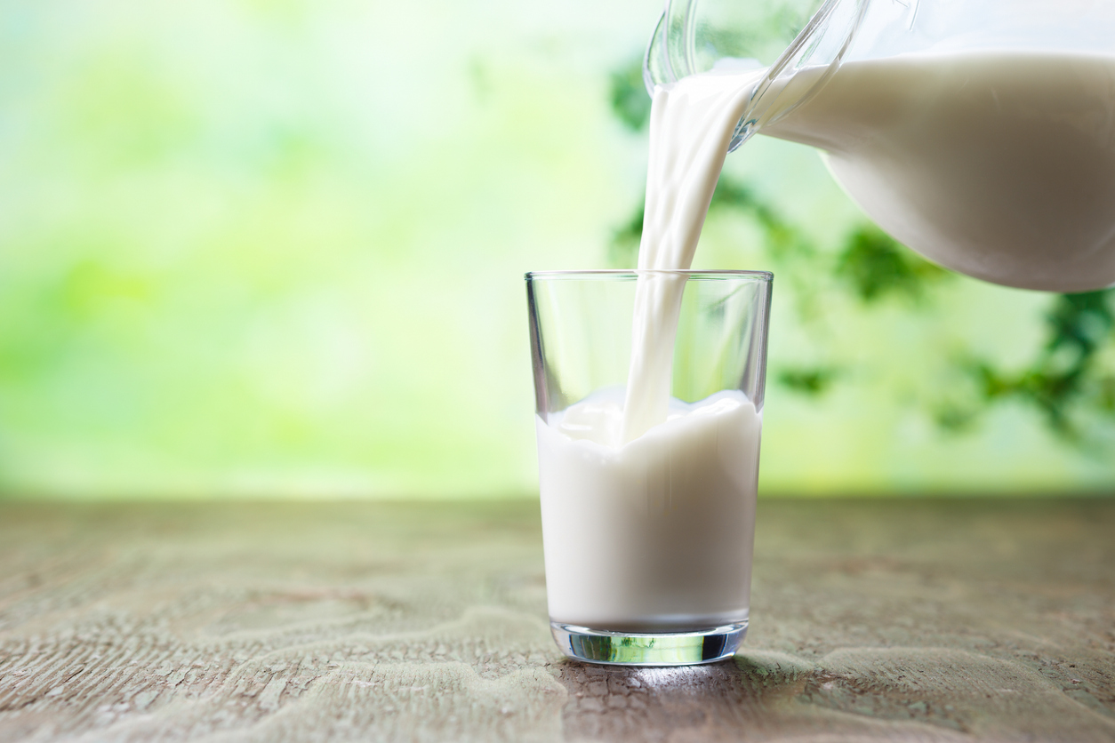 Link to Could milk support brain health in older adults? New study offers promising results article