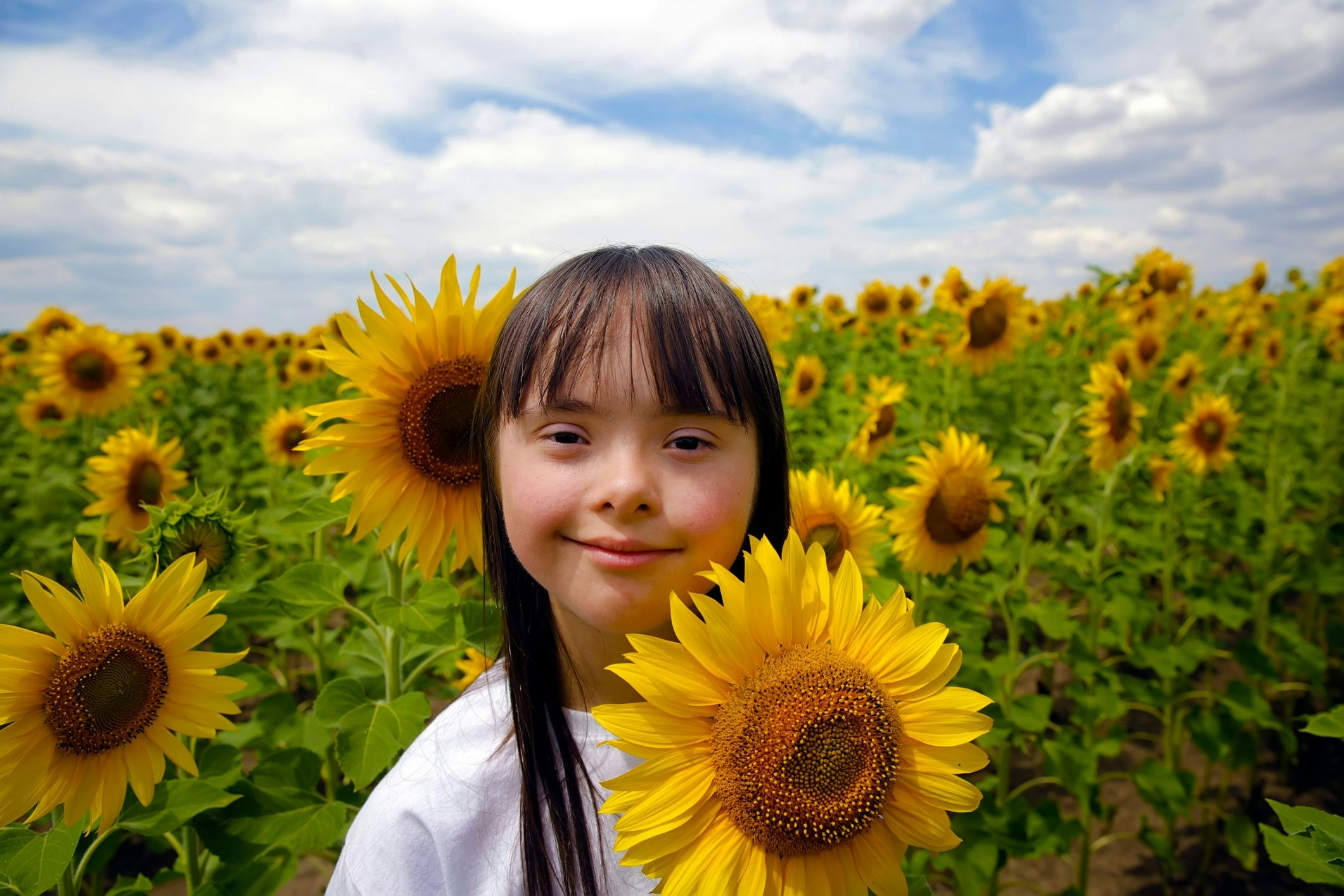 Not all events are disability-friendly, but the Kalbar Sunflower Festival is hoping to increase inclusivity in their outdoor event. [Source: Shutterstock]
