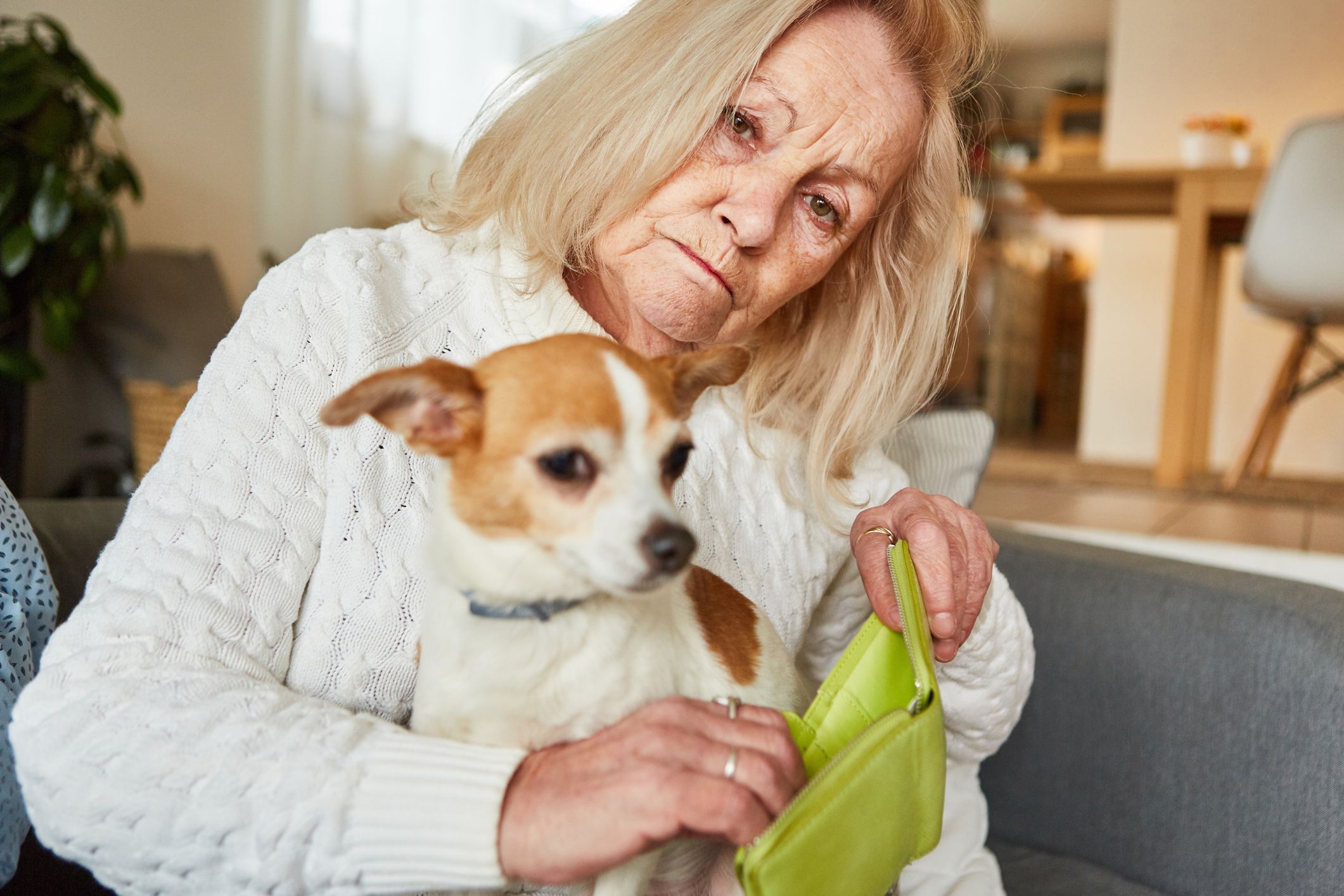 Link to COVID-19 and the aged care financial fallout article